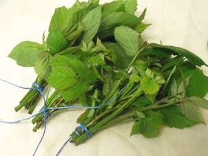 How to dry blackberry leaf